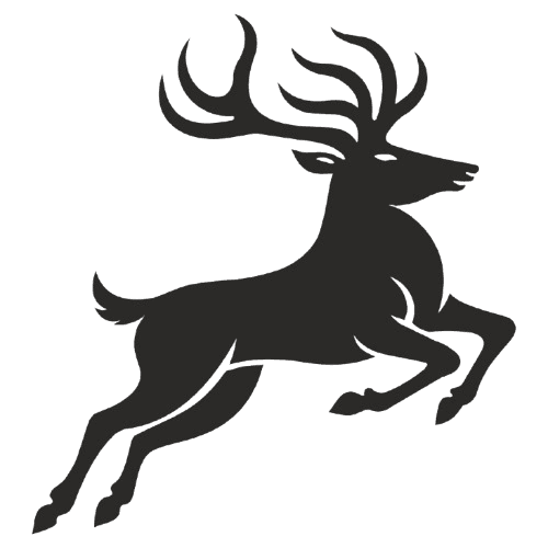 WILD ELK